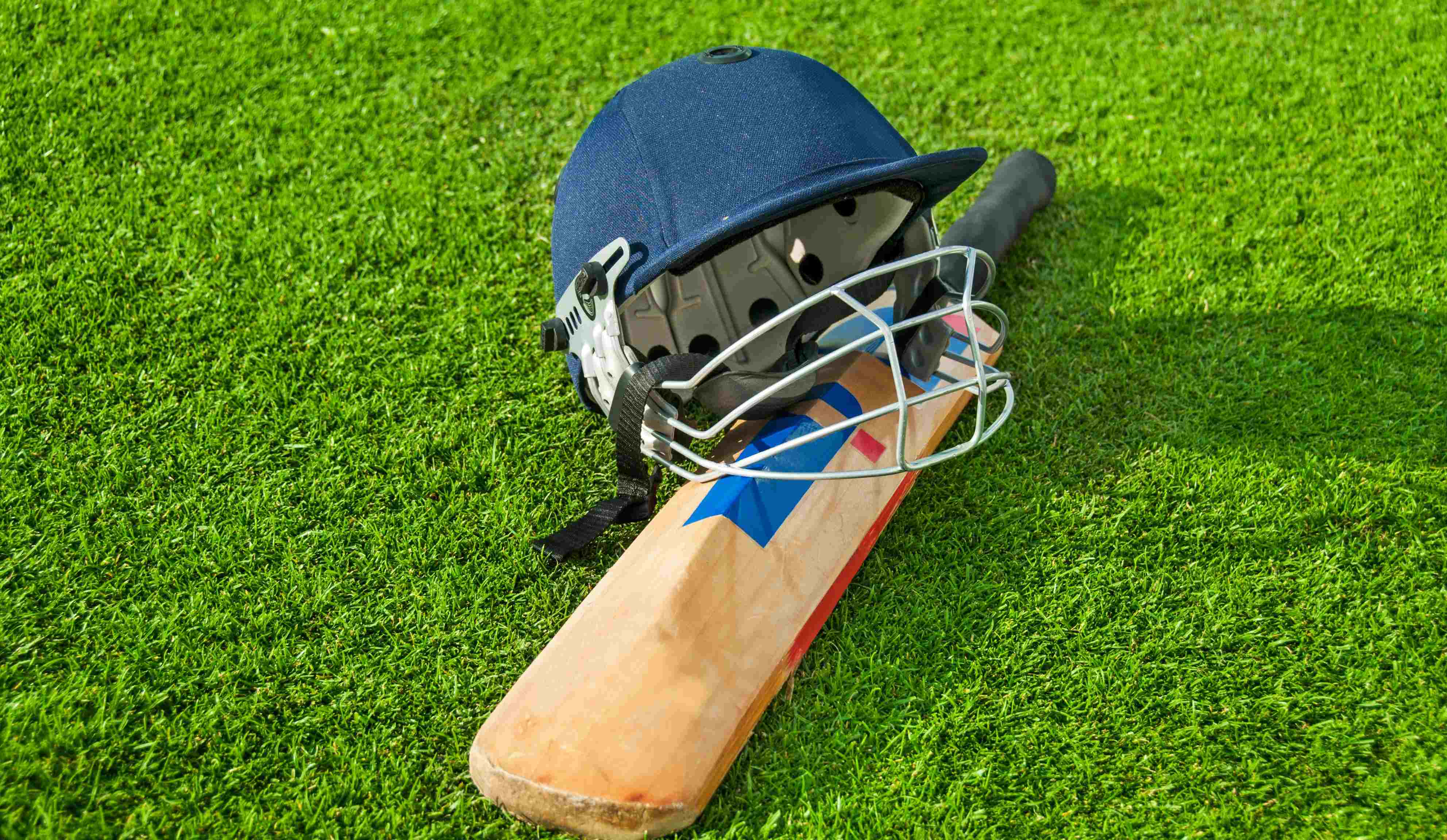 Learn cricket and showcase your talent